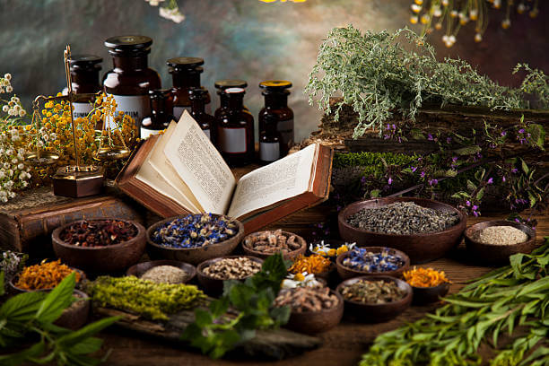 Plantes médicinales et bien-être